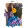 Bolsa de Materiales DIY Flor Seca Inmortal Tuanjian Marco de Fotos Pintura Tarjeta de Felicitación Tuanfan Ramo Pequeño Hecho a Mano Flor Real Bolsa de Flores en Relieve