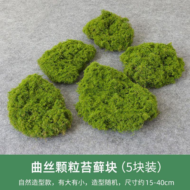 曲丝颗粒苔藓块.jpg