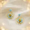 Brincos de Flor de Palha para Férias na Praia para Mulheres, Brincos de Luxo Leve de Alta Qualidade, Novo Estilo 2026, Únicos, Exagerados, Lindos Acessórios de Orelha