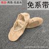 Zapatos de Baile para Niñas Zapatos Garra de Gato Princesa Niñas Suela Blanda Zapatos de Ballet Niños de Guardería Rosas Carnosos