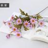 Simulação Margarida pano de seda selvagem crisântemo flor lilás crisântemo decoração para casa crisântemo holandês haste longa único ramo outono cor Margarida