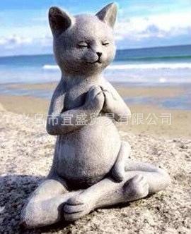 325A798574AF88A85AF52D02CB42A8