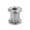 Aço Inoxidável 304 Fundição de Precisão Corpo da Válvula de Retenção Válvula de Retenção Vertical Válvula de Retenção com Flange Fábrica de Fundição de Silicone