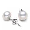 Pendientes de Perla Imitación Bombilla Pequeña Estilo Coreano para Mujer, Pendientes Sencillos Elegantes, Pendientes de Perla Redonda Plana Bollo al Vapor de Moda y de Alta Gama