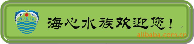 海心欢迎你