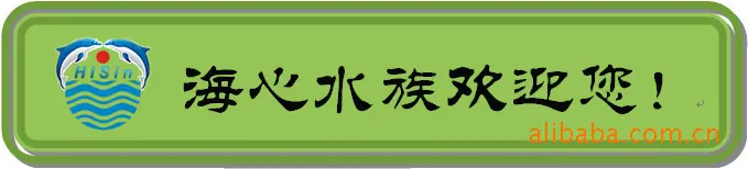 海心欢迎你