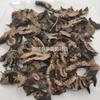 Shengma 1000g Huamei Medicina Tradicional China y Materiales Medicinales Chinos Venta al por Mayor Suministro en Stock Shengma Daxian Productos Nuevos