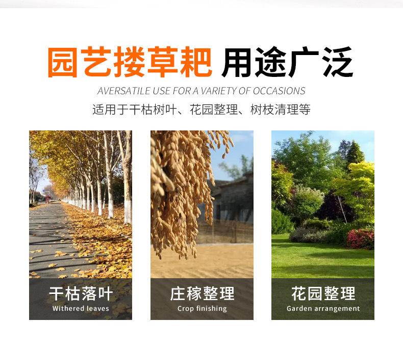 详情_02.jpg