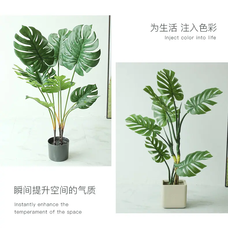 仿真龟背树系列_20.jpg
