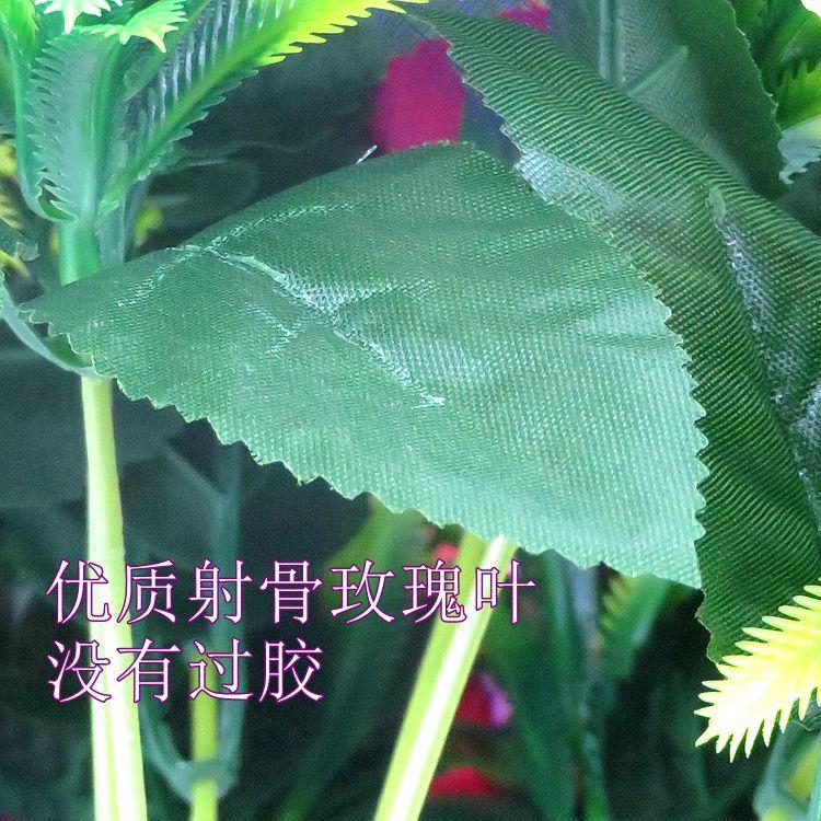 18头公主玫产品介绍2.jpg