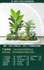 Set de Paisajismo Simulado para Exhibidores de Ventanas Interiores, Decoración de Escaleras, Paisaje de Plantas Verdes Simuladas, Arreglo de Jardín, Adornos de Decoración de Plantas en Maceta