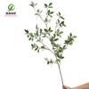 Dongguan planta verde artificial Árbol grande rama plana Hoja Naranja Hoja de Arce Higuera Francesa hoja de té hoja de plástico