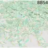 Madrepérola Laca Peças Finas de Concha de Abalone Nail Art Mosaico Pintura em Laca Peças de Madrepérola Material DIY Laca Incrustada Leidezhu