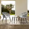 Mesa y silla de exterior Silla de jardín de patio de villa Mesa de ocio de moda para balcón Combinación de mesa de plástico y madera Mesa y silla de ratán para exteriores