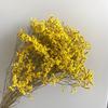 Ramo de flores eternas de hierba de cristal, arreglo floral, ramo de flores con material DIY, accesorios para fotos, flor para aromaterapia al por mayor