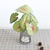 Flor Artificial Calathea Impressa em 3D da Fábrica de Origem, Planta Verde Calathea de 6 Cabeças com Textura Realista, Popular em Plataformas de E-commerce