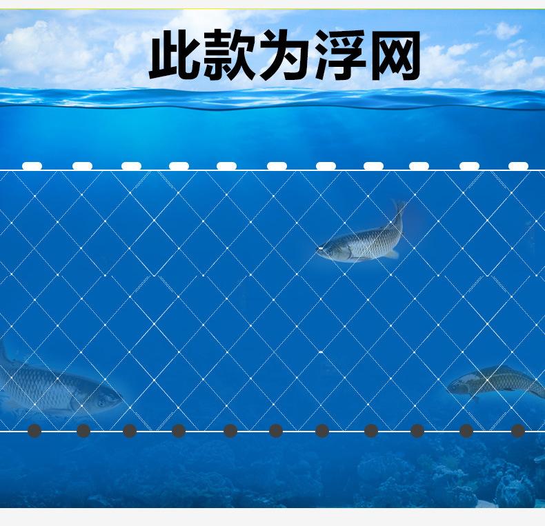 粘网_12.jpg