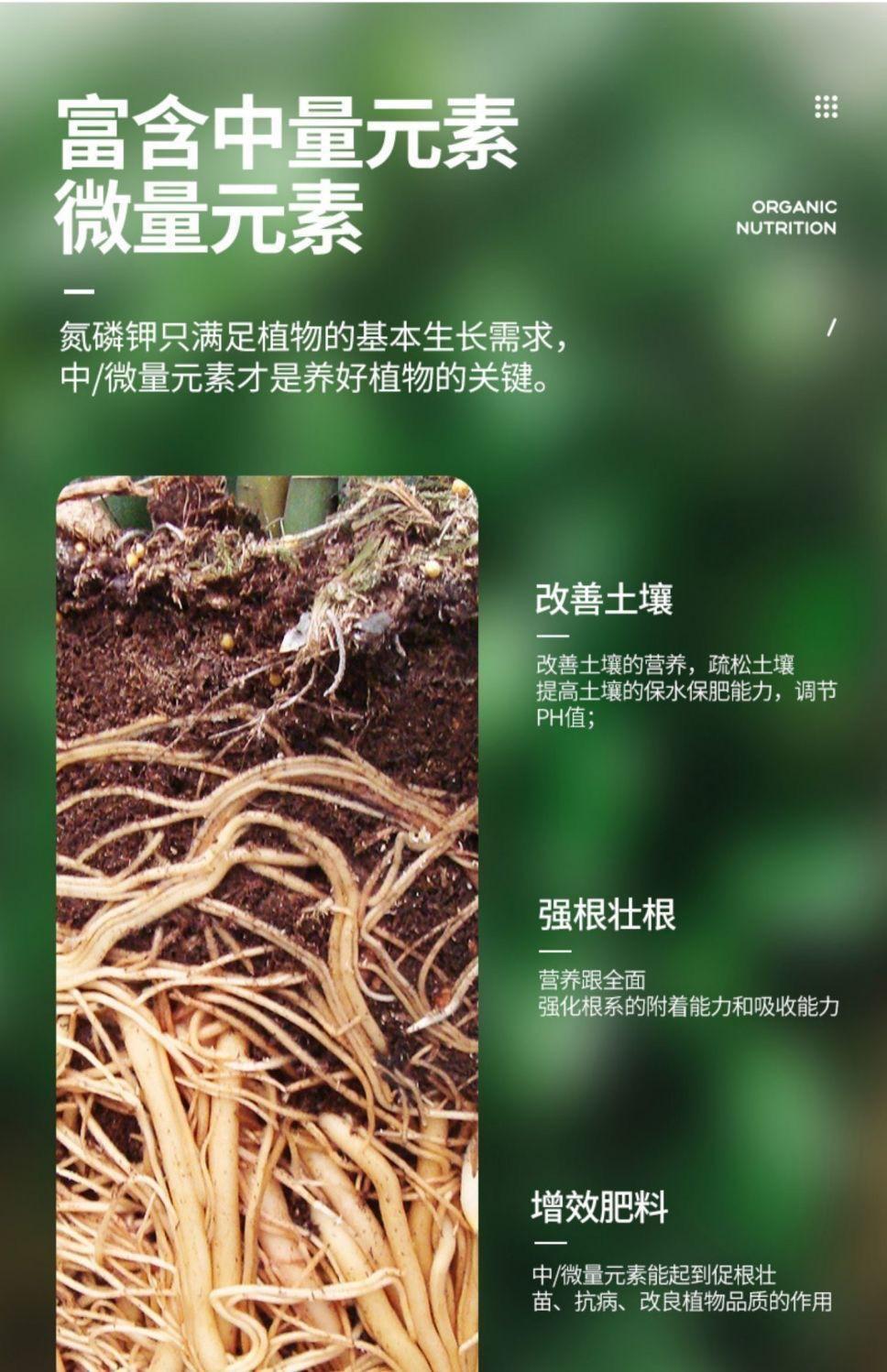 微信图片_20241226165327.jpg