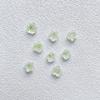 Novos Ornamentos de Camélia Luminous para Nail Art com Flores Secas Diamante de Resina Decoração de Unhas DIY Venda por Atacado