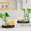 Jarrón de Planta Verde de Oficina Adorno Hidropónico de Escritorio Gato de la Suerte Lindo Decoración de Arreglo Floral para Sala de Estar Regalo Creativo