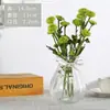 Atacado Vaso de Vidro Transparente Criativo Vaso Hidropônico para Pothos Plantas Âmbar Transparente Vidro Ornamentos Recipiente para Arranjo de Flores