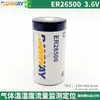 Medidor de Flujo de Turbina RAMWAY Ruiyi 3.6V Posicionamiento de Monitoreo Sensor de Alarma Inalámbrico Copia de Informe Batería ER26500