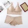 Conjunto de Ropa Interior Sexy de Encaje Triangular con Relleno, Espalda Hermosa, sin Aros, Sujetador Francés Push-Up para Mujer, Comercio Exterior Transfronterizo