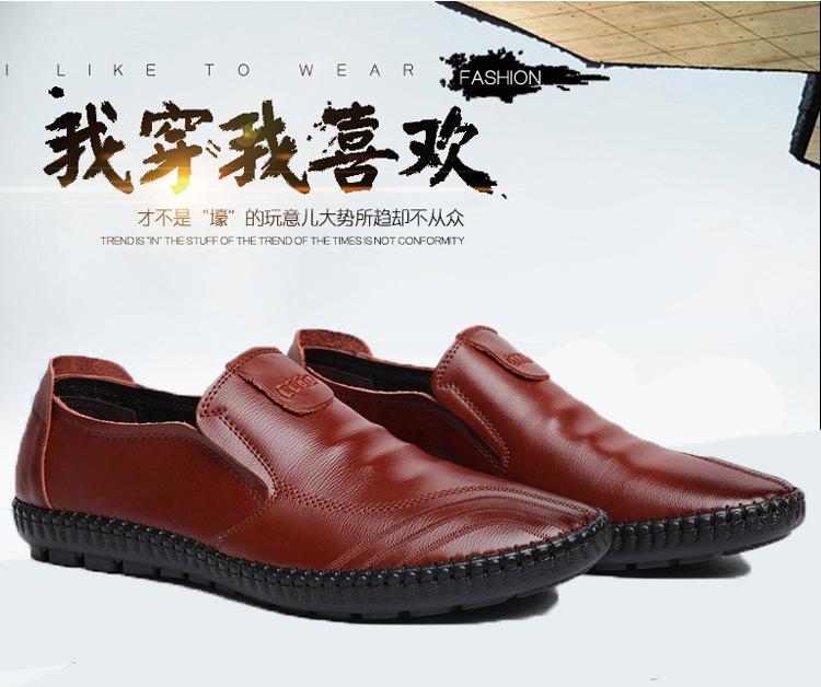 详情 (10).jpg