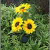 Lámpara solar de suelo LED de tres cabezas, de una cabeza, lámpara de girasol, transfronteriza, exterior, a prueba de lluvia, decoración solar, escena, imitación