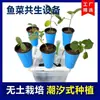 Estante Hidropônica Flores Planta Vegetal Equipamento Lâmpada de Cultivo Sistema de Brotos de Feijão Caixa de Vegetais de Varanda Aparelho de Ensino Estante de Mudas