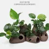 Aquário Musgo Terrário Planta Aquática Paisagismo Planta Real Tanque de Esconderijo para Peixes e Camarões Casa de Camarão Pequeno Ornamento Casa de Esconderijo para Criação de Peixes Pequenos