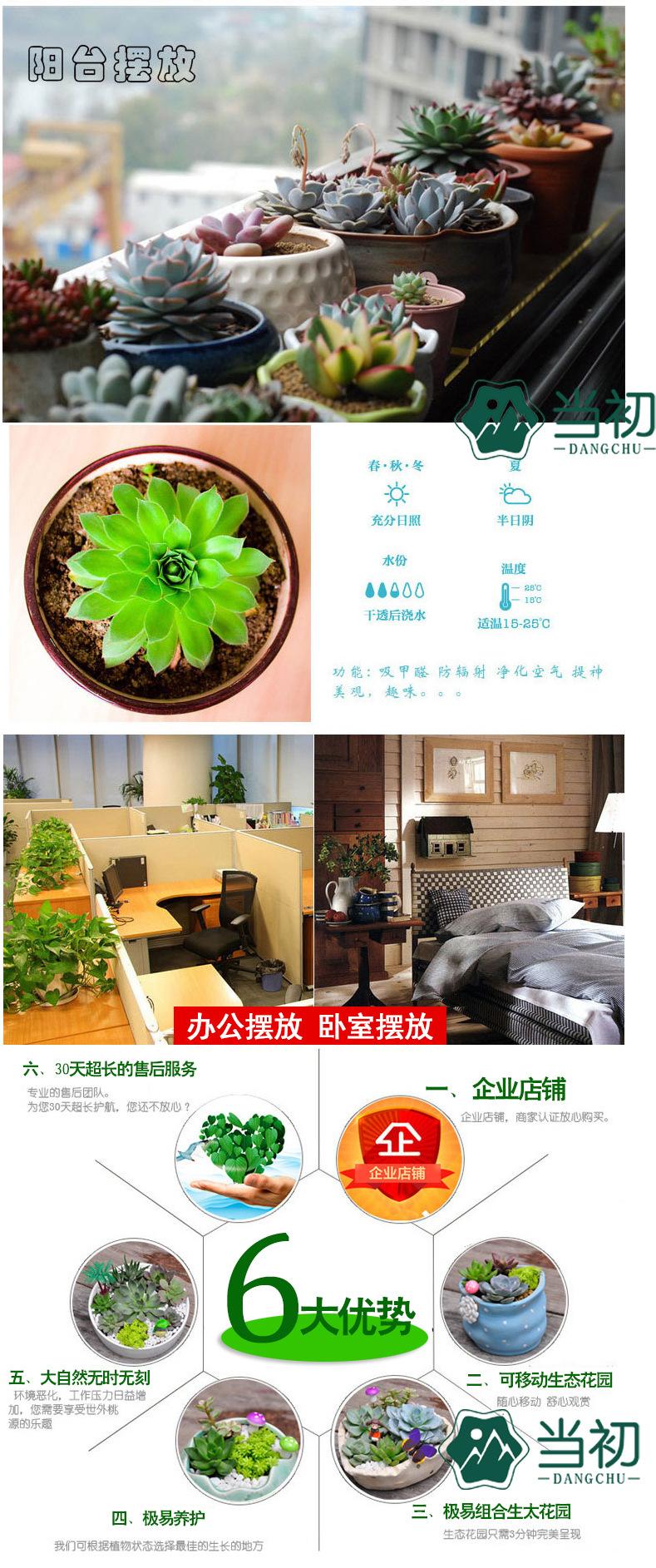 阳台办公卧室摆放 6大优势