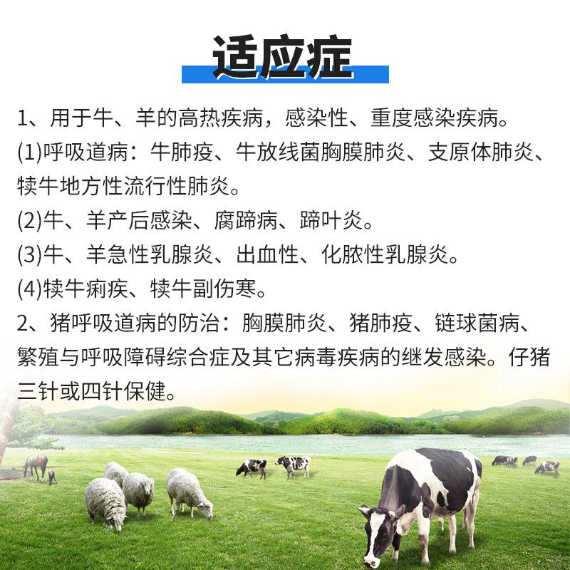 使用说明 牛羊