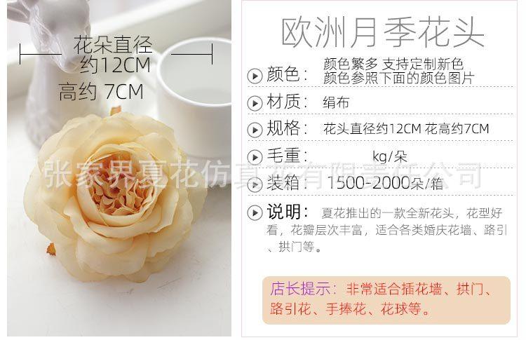 欧月花头_04.jpg