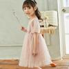 Vestido para Niña 2026 Otoño Bebé Algodón Manga Larga Malla Falda Niña Pequeña Estrella Elsa Vestido de Princesa
