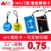 Tarjeta Epoxy Personalizada 213 Chip Nfc215 Juego Anime Tarjeta Nfc216 Transferencia de un Solo Toque Tarjeta Nfc para Vehículo Eléctrico