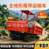 Transportador de Esteiras Todo-o-terreno Transportador Multifuncional de Caçamba Basculante Hidráulica Dumper Transportador Grande de Esteiras