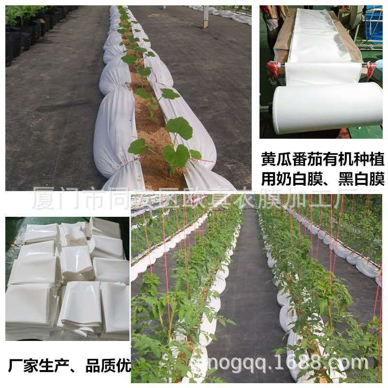 微信图片_20200719113230