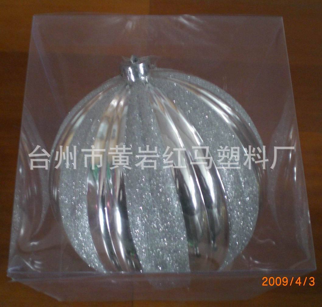 CIMG0981