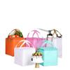 Bolsa Isotérmica para Pastel de Cumpleaños, Bolsa Refrigerante para Llevar, Logo Personalizable, Cremallera de Papel de Aluminio, Bolsa de Hielo Portátil, Versión Impermeable Plegable