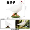 Modelo de Animal de Simulación para Niños, Juguete de Ave Sólido, Paloma Mensajera, Paloma de la Paz, Educación Temprana, Cognitivo, Regalo, Adornos
