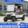 Vehículos Turísticos para Zonas Turísticas, Carritos de Golf Todoterreno, Transportes de Recepción de Hotel, Vehículos Turísticos para Lugares Pintorescos