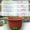 Aquário Tradicional, Tanque Grande Antigo para Jardim Externo, Tanque para Tartarugas, Vaso de Flores Extra Grande, Tanque para Plantas Aquáticas (Nenúfares e Lótus), Tanque de Água Externo