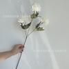 Nueva flor artificial, 3 pequeñas bolas de espinas para boda, decoración de fondo para salón de bodas, flores para mesa de hotel, exhibición de flores, flores en botella de comercio exterior