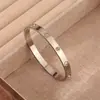 Pulsera de Zirconia Chapada en Oro para Mujer, Brazalete Abierto de Moda de Lujo Ligero, Joyería de Mano Sencilla Versátil Estilo Pareja Acero de Titanio