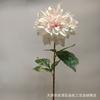 Arreglo Floral de Dalia de un Solo Tallo Decoración Flor Artificial Directo del Fabricante Flor Artificial de Alta Calidad Decoración del Hogar Alta Simulación