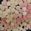 En stock Esponja de Maquillaje con Cabeza de Terciopelo Esponja para Labial Esponja de Cabeza Redonda para Sombras de Ojos Esponja Herramienta de Maquillaje Esponja