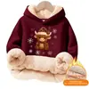 Sudeste Asiático Outono e Primavera Tamanho Grande Modelagem Solta Casual Composto de Algodão Lã de Cordeiro Forrado com Fleece Moletom com Capuz Sem Bolsos