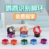 Anillo para Pájaro Grabado Anillo para Pie de Loro Anillo de Identificación Aleación Electrochapada Anillo de Pie Cerrado Pájaro Estornino Piel de Tigre Peonía Xuan Feng