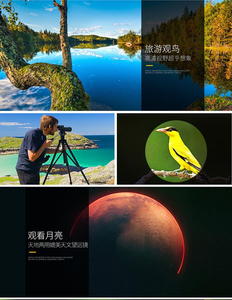 观鸟镜_12.jpg